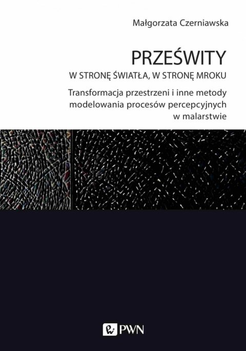 Prześwity. W stronę światła, w stronę mroku.. Transformacja przestrzeni i inne metody modelowania procesów percepcyjnych w malar