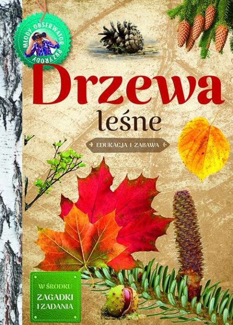 Drzewa leśne. Młody obserwator przyrody