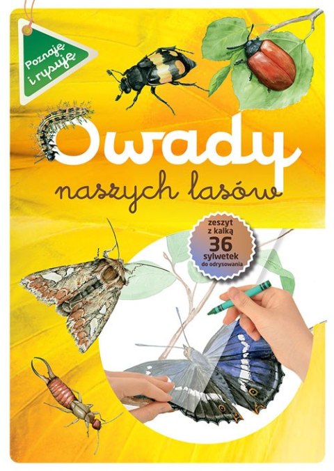 Owady naszych lasów wyd. 2021