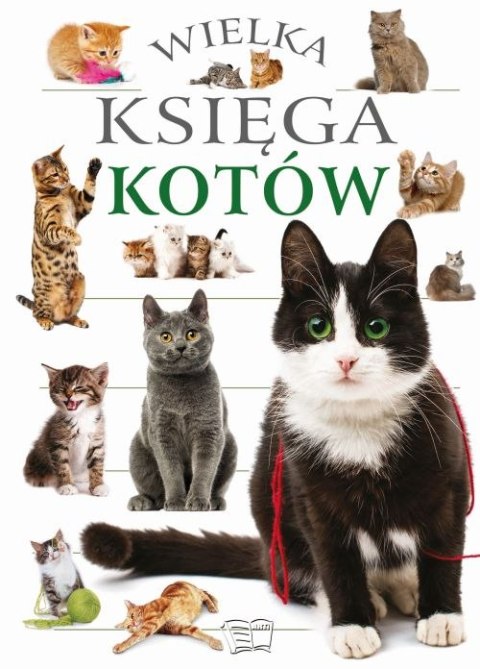 Wielka księga kotów