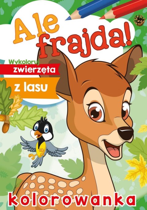 Wykoloruj zwierzęta z lasu. Ale frajda!