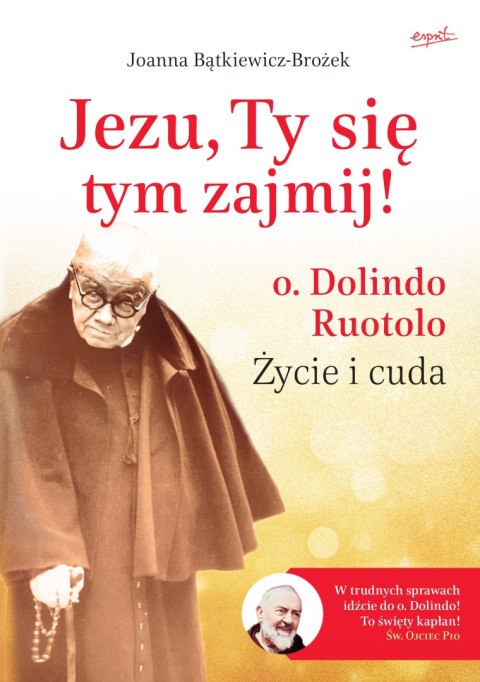 Jezu, Ty się tym zajmij! o. Dolindo Ruotolo. Życie i cuda wyd. 2