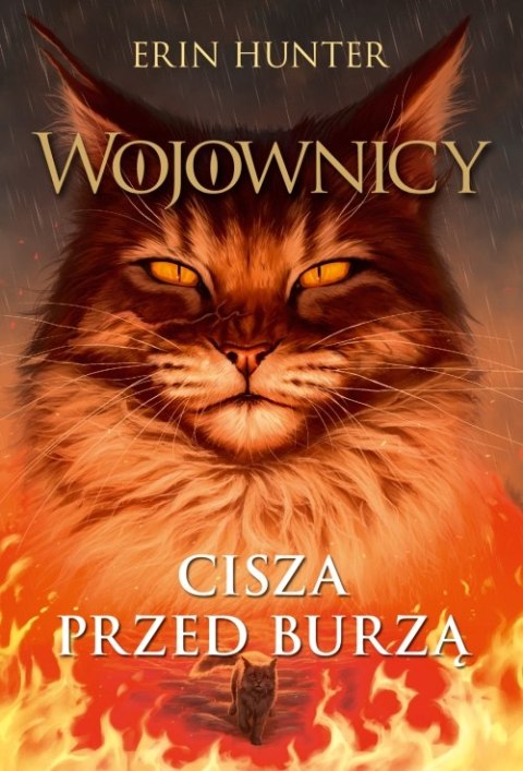 Cisza przed burzą. Wojownicy wyd. 2