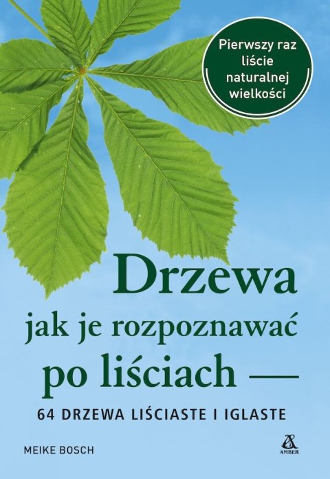 Drzewa - jak je rozpoznawać po liściach