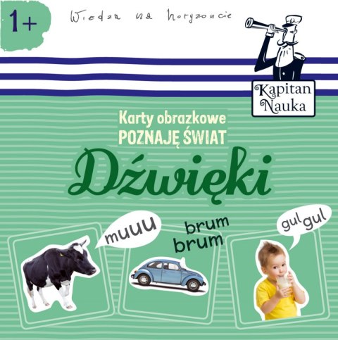 Dźwięki. Poznaję świat. Karty obrazkowe. Kapitan Nauka wyd. 2