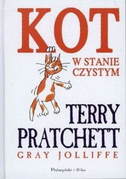 Kot w stanie czystym