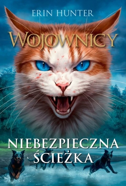 Niebezpieczna ścieżka. Wojownicy wyd. 2