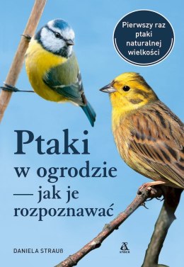 Ptaki w ogrodzie - jak je rozpoznawać