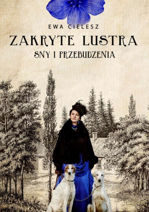 Sny i przebudzenia. Zakryte lustra. Tom 1