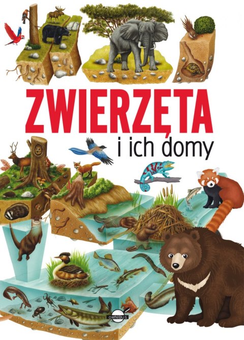 Zwierzęta i ich domy