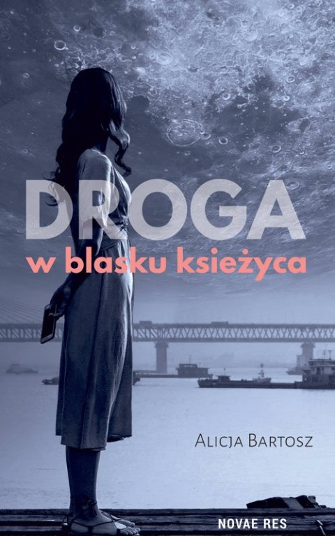 Droga w blasku księżyca