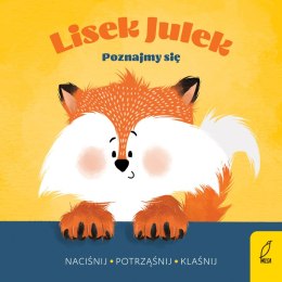 Poznajmy się. Lisek Julek