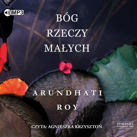 CD MP3 Bóg Rzeczy Małych