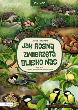 Jak rosną zwierzęta blisko nas