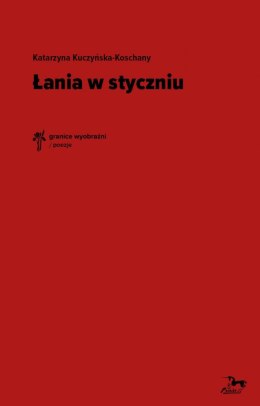 Łania w styczniu