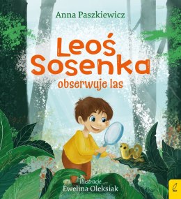 Leoś Sosenka obserwuje las