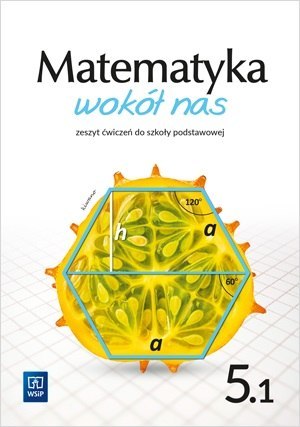 Matematyka wokół nas zeszyt ćwiczeń dla klasy 5 część 1 szkoły podstawowej 177790