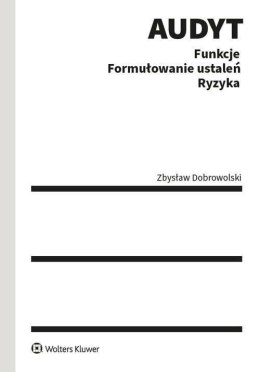 Audyt. Funkcje. Formułowanie ustaleń. Ryzyka