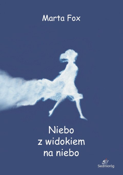 Niebo z widokiem na niebo