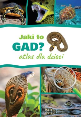 Jaki to gad? Atlas dla dzieci