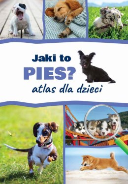 Jaki to pies? Atlas dla dzieci