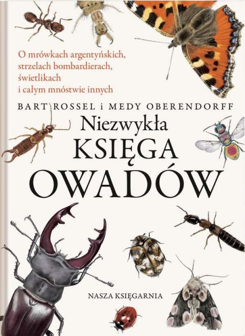 Niezwykła księga owadów