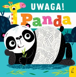 Uwaga! Panda