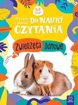 Zwierzęta domowe. Wyrazy i zdania do nauki czytania. Duże litery