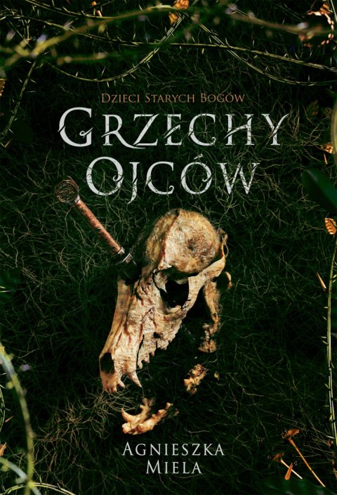 Grzechy ojców. Dzieci Starych Bogów. Tom 2