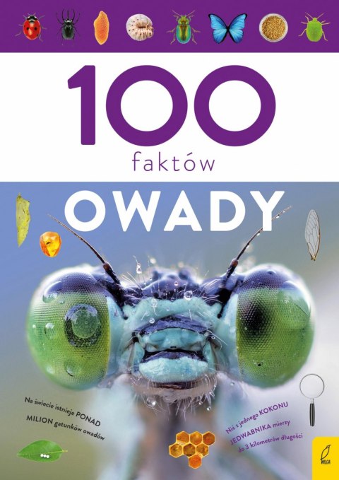 Owady. 100 faktów