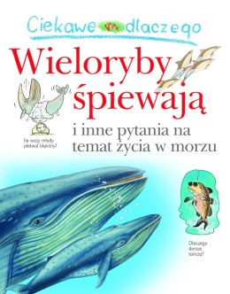 Ciekawe dlaczego wieloryby śpiewają