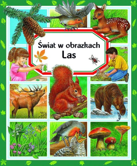 Las. Świat w obrazkach