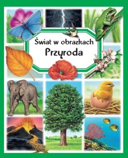 Przyroda. Świat w obrazkach