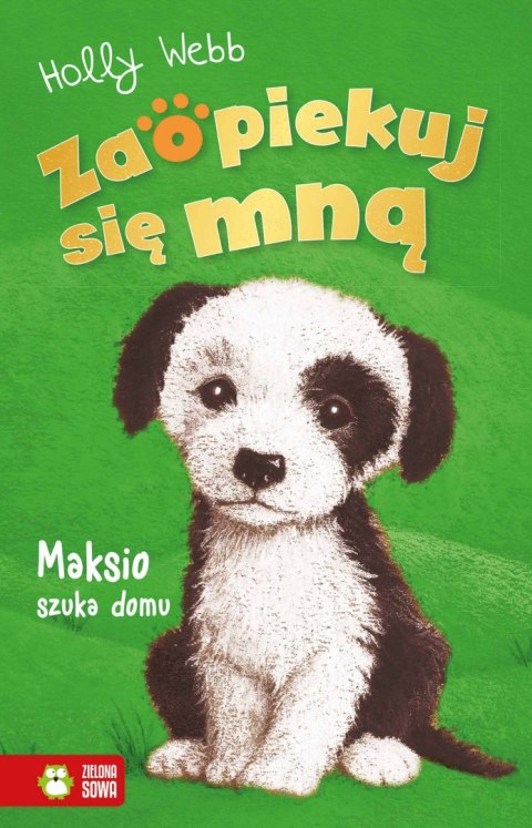 Maksio szuka domu. Zaopiekuj się mną