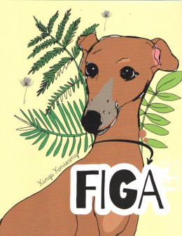 Figa