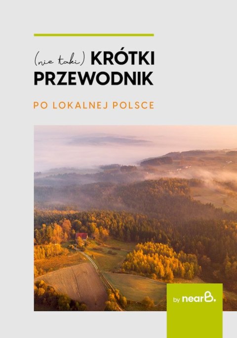 (nie taki) krótki przewodnik po lokalnej Polsce