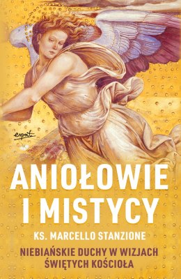 Aniołowie i mistycy. Niebiańskie duchy w wizjach świętych Kościoła