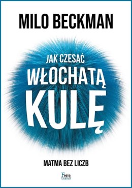 Jak czesać włochatą kulę. Matma bez liczb