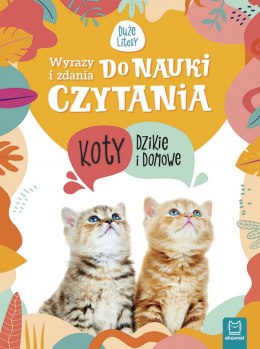 Koty dzikie i domowe. Wyrazy i zdania do nauki czytania. Tajemnice przyrody