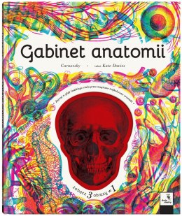 Gabinet anatomii