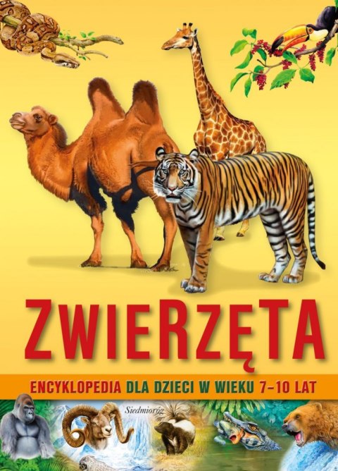 Zwierzęta. Encyklopedia dla dzieci w wieku 7-10 lat wyd. 2022