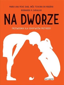 Na dworze przewodnik dla odkrywców przyrody