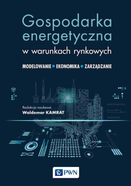 Gospodarka energetyczna w warunkach rynkowych