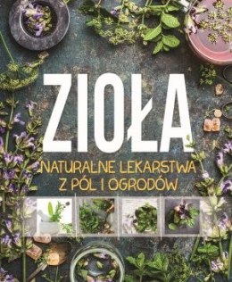 Zioła naturalne lekarstwa z pól i ogrodów