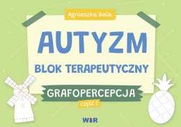 Autyzm blok terapeutyczny Grafopercepcja część 1