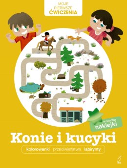 Konie i kucyki moje pierwsze ćwiczenia