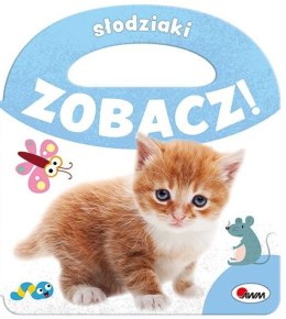 Słodziaki. Zobacz!