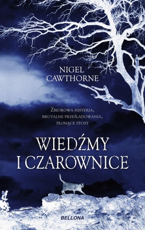 Wiedźmy i czarownice