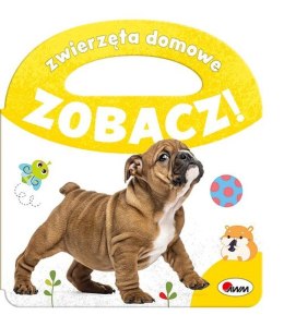 Zwierzęta domowe. Zobacz!