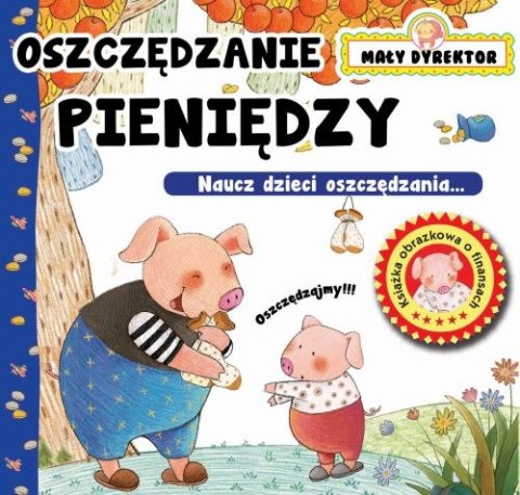 Oszczędzanie pieniędzy. Mały dyrektor